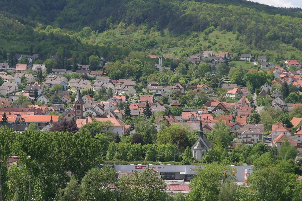 Haus Haas Zimmer&Fewo Lägenhet Lauda-Königshofen Exteriör bild